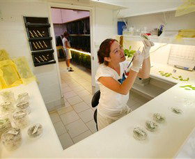 Australian Butterfly Sanctuary - Accommodation Brunswick Heads 2