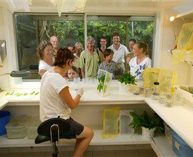 Australian Butterfly Sanctuary - Accommodation Brunswick Heads 3