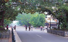 Kuranda - Village In The Rainforest - Accommodation Brunswick Heads 1