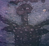 Quinkan Reserves Ancient Rock Art - Accommodation Brunswick Heads