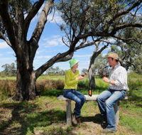 Restdown Wines and Walking Trail - Accommodation Brunswick Heads