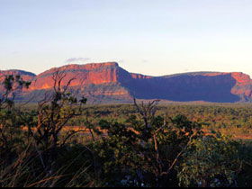 Blackdown Tableland National Park - Accommodation Brunswick Heads 0