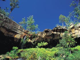 Blackdown Tableland National Park - Accommodation Brunswick Heads 1