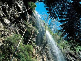 Blackdown Tableland National Park - Accommodation Brunswick Heads 2