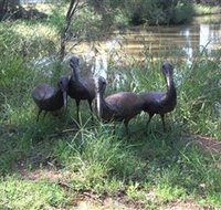 East Tolans Farm Tour - Accommodation Brunswick Heads