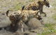 Altina Wildlife Park - thumb 0