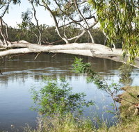 Murray Valley National Park - Accommodation Brunswick Heads