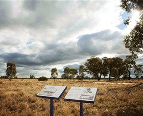 Backroads Trail - Accommodation Brunswick Heads 2