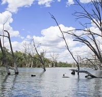 Murrumbidgee Valley National Park - Accommodation Brunswick Heads