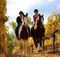 Billabong Ranch - Accommodation Brunswick Heads