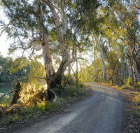 Alton Gallery - Echuca Moama Artists - Accommodation Brunswick Heads