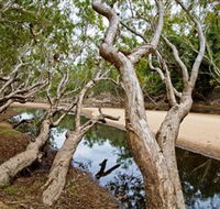Oyala Thumotang National Park CYPAL - Accommodation Brunswick Heads