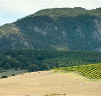 Langi Ghiran State Park - Accommodation Brunswick Heads