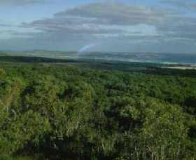 Mount Richmond National Park - Accommodation Brunswick Heads 0