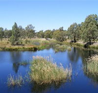 Narrandera Wetlands - Accommodation Brunswick Heads