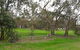 Nathalia Golf Club - thumb 2