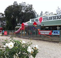 The Big Strawberry - Accommodation Brunswick Heads