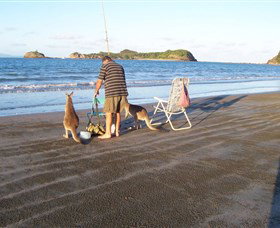 Glenella QLD Accommodation Brunswick Heads