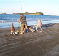 Cape Hillsborough National Park - Accommodation Brunswick Heads