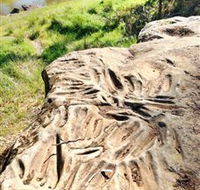 Terramungamine Rock Grooves - Accommodation Brunswick Heads