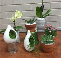 Cobram Florist - Accommodation Brunswick Heads