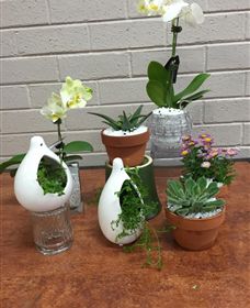 Cobram Florist - Accommodation Brunswick Heads 0