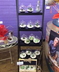 Cobram Florist - Accommodation Brunswick Heads 3