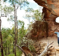 Pilliga National Park - Accommodation Brunswick Heads