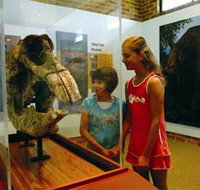 Australian Museum Diprotodon Exhibition - Accommodation Brunswick Heads