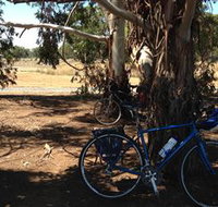 Murchison Rail Trail - Accommodation Brunswick Heads