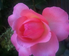 Abandon Stress Mobile Massage - Accommodation Brunswick Heads 2