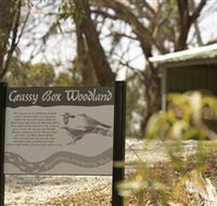 Kindra Forest - Accommodation Brunswick Heads