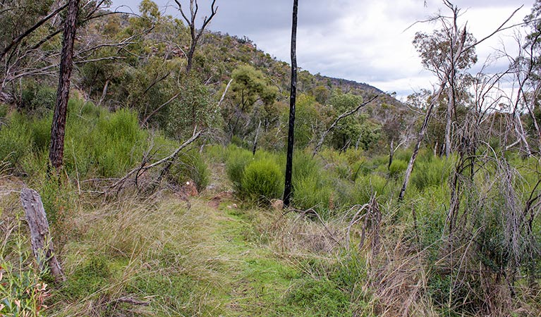 Piney Range NSW Accommodation Brunswick Heads