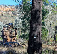 Eualdrie walking track - Accommodation Brunswick Heads