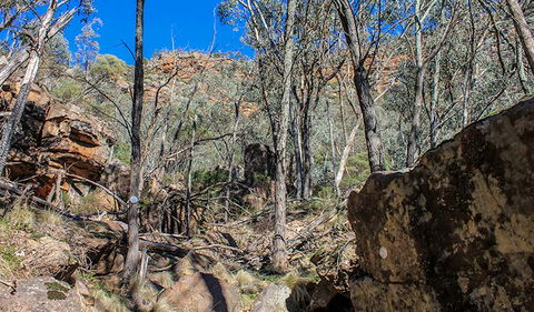 Eualdrie Walking Track - Accommodation Brunswick Heads 3