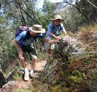 Mount Arthur Reserve - Accommodation Brunswick Heads