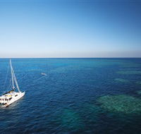 Bait Reef and Garys Lagoon Dive Site - Accommodation Brunswick Heads