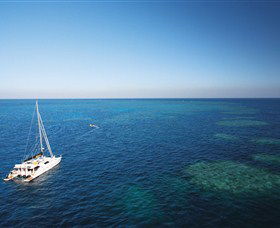 Bait Reef And Garys Lagoon Dive Site - Accommodation Brunswick Heads 0
