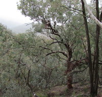 Mount Murga walking track - Accommodation Brunswick Heads