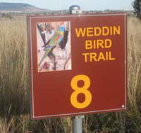Weddin Bird Trails - Accommodation Brunswick Heads