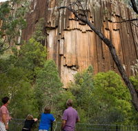Sawn Rocks walking track - Accommodation Brunswick Heads