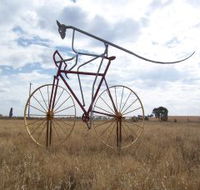 Animals on Bikes - Accommodation Brunswick Heads