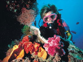 Great Barrier Reef - Whitsundays - Accommodation Brunswick Heads 1