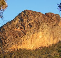 Kaputar scenic drive - Accommodation Brunswick Heads