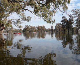 Henty Government Dam Nature Reserve - Accommodation Brunswick Heads 1