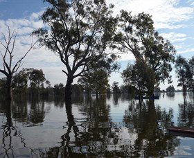 Doodle Cooma Swamp - Accommodation Brunswick Heads 1