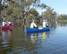 Doodle Cooma Swamp - Accommodation Brunswick Heads 0