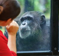 The Rockhampton Zoo - Accommodation Brunswick Heads