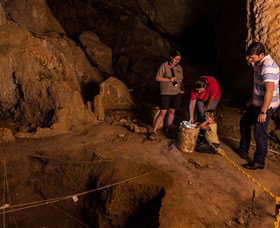 Capricorn Caves - Accommodation Brunswick Heads 2