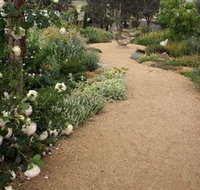 Perennialle Plants Nursery and Garden - Accommodation Brunswick Heads